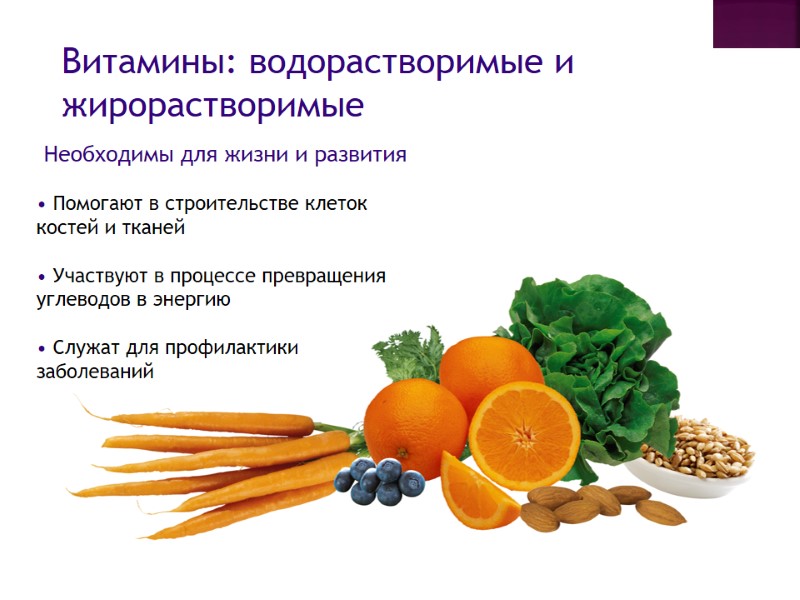 Витамины: водорастворимые и жирорастворимые • Помогают в строительстве клеток  костей и тканей 